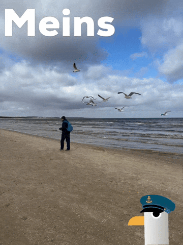 Sea Ostsee GIF