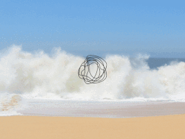 gastrogif  GIF