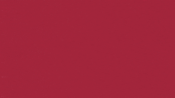 Charroslmb2025 GIF by Charros de Jalisco