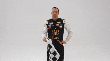 Kyle Busch Flag GIF by Richard Childress Racing