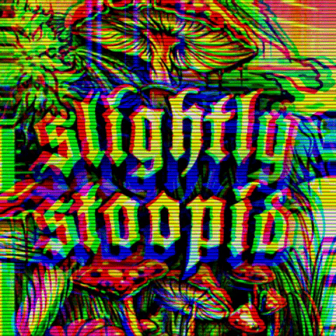 Reggae Reggaemusic GIF by Slightly Stoopid