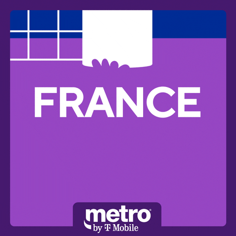 France Soccer GIF by Metro by T-Mobile