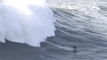 get away surfing GIF