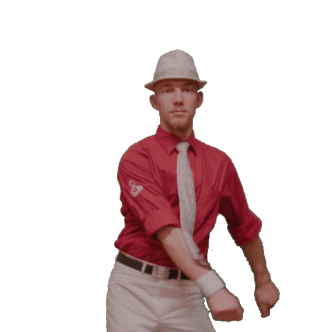 Dance Wave Sticker by showband.CH