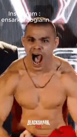 Mma GIF