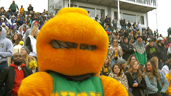 mascot sting GIF by Black Hills State University