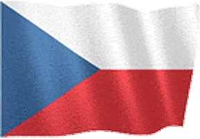 dikyzemuzem flag czech 1989 czechia GIF