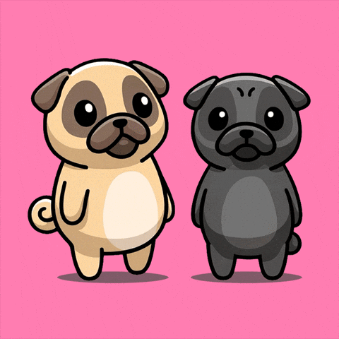 Happy I Love You GIF by Pugs