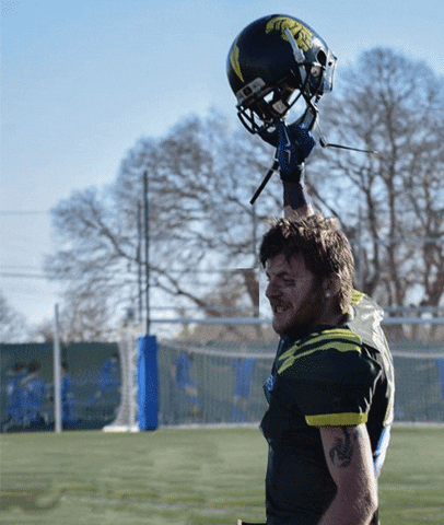 Football Yes GIF by IMPERIALSREUS