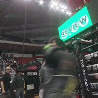 Excited Celebration GIF by Professional Bull Riders (PBR)