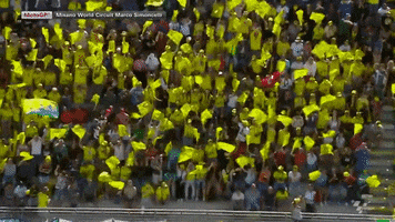 Fans Flags GIF by MotoGP