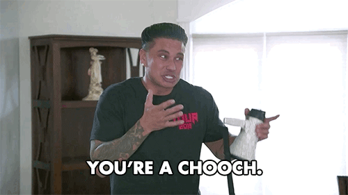chooch shirt pauly d