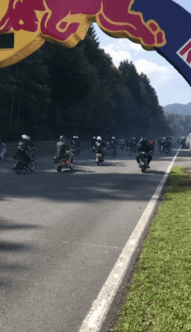 The Nockouts GIF