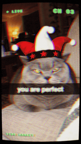 Unimpressed Cat GIF by Vibe.market