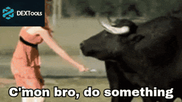 Bull Market Memecoins GIF by MemeMaker