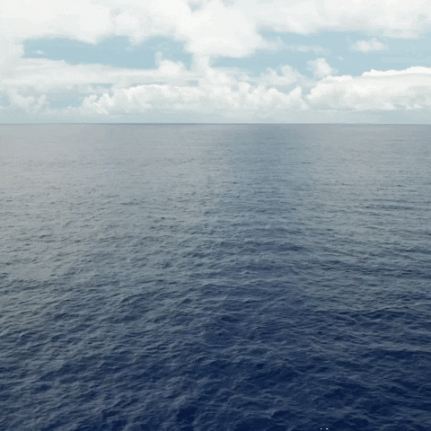 theoceancleanup bye social distancing plastic pollution GIF