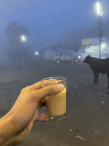 Tea GIF