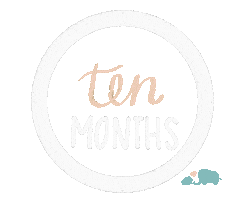 Babies Milestone Sticker by Baby Nest Designs