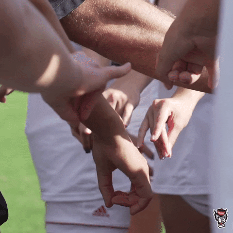 Huddle GIF by NC State Athletics