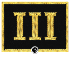 3Dan Sticker by Barreto Taekwondo