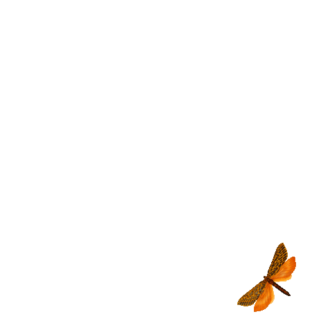 Bienvenidos al nuevo foro de apoyo a Noe - Página 35 Giphy.gif?cid=ecf05e47yht1hx0g3v63nuqftbrj1bl53ojkrit7z77buh13&rid=giphy