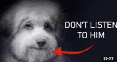 Dog Statement GIF