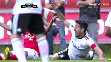 angry sl benfica GIF by Sport Lisboa e Benfica