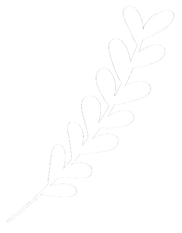 Branch Leaf White Paperboe Sticker