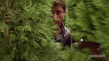 Dule Hill Trees GIF by PeacockTV