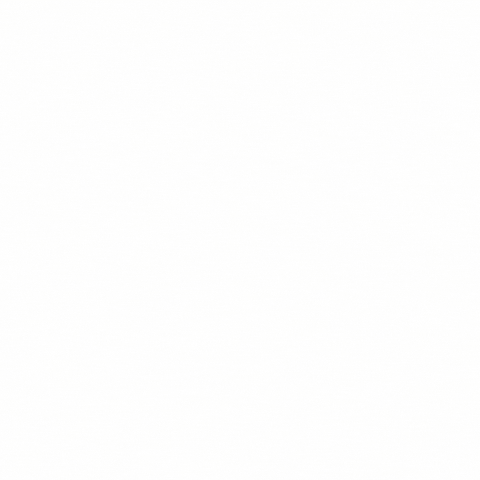 Ballena Tequila GIF