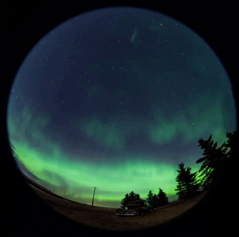 Northern Lights Aurora GIF