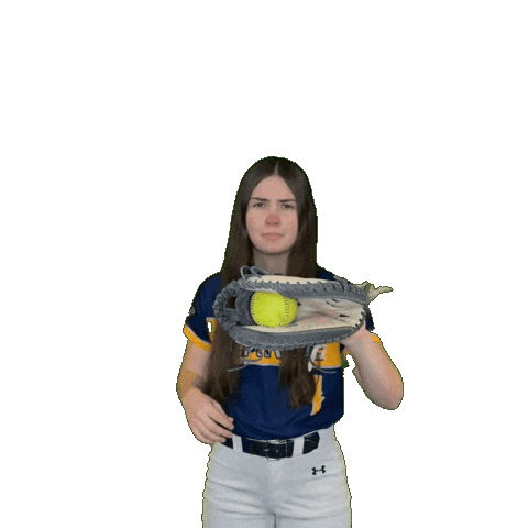 Clarke Softball Sticker by Clarke University