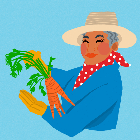 Digital art gif. Older woman in a sunhat, a red polka-dotted bandana scarf, and a blue long sleeve shirt cheerfully holds up a bunch of carrots.