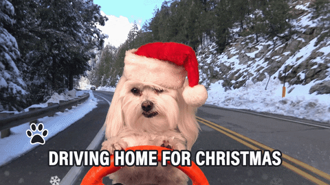 Inspiration Giphy Merry Christmas Funny - Abdofolio