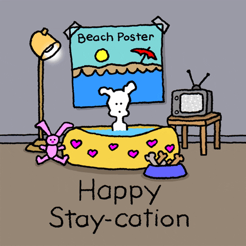 stay-cation meme gif