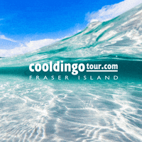 Fraserisland GIF by Cool Dingo Tour