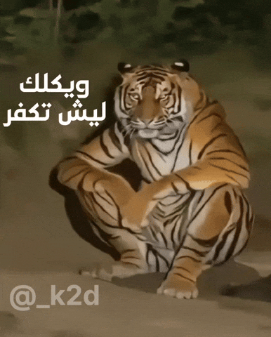 العراق‎ GIF