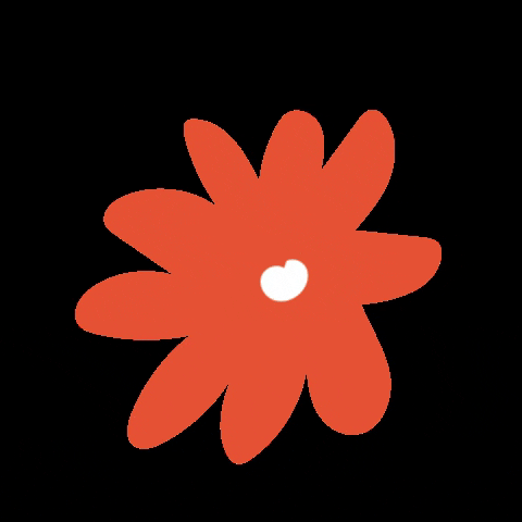 macafloresdg flower flor ilustracion rojo GIF