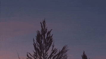 Nostalgia GIF