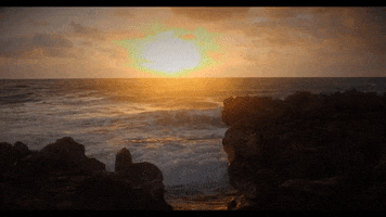 Real Estate Sunshine GIF by Echo Fine Properties