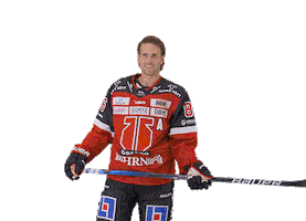 Celebration Bird Sticker by Örebro Hockey