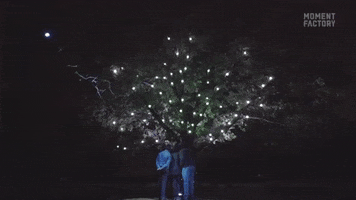 Tree Forest GIF by Moment Factory