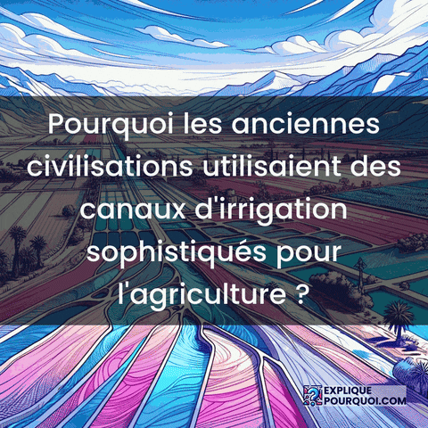 Agriculture Historique GIF by ExpliquePourquoi.com