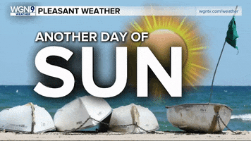 Chicago Weather GIF by WGN Morning News