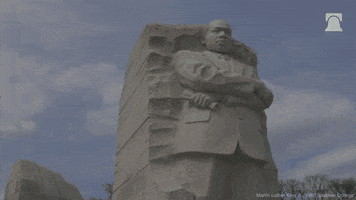 Overcome Civil Rights GIF by The Daily Signal
