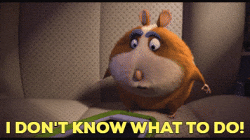 Help Me Decide Gifs Get The Best Gif On Giphy