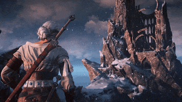Witcher 3 Ciri GIF by The Witcher