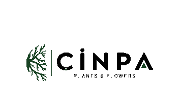 Cinpa Ltd. Sti. Sticker
