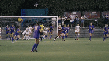 Ncaa Soccer GIF by gamecocksonline