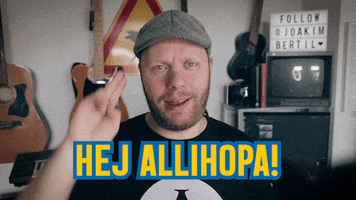 Sprich Mal Schwedisch GIF